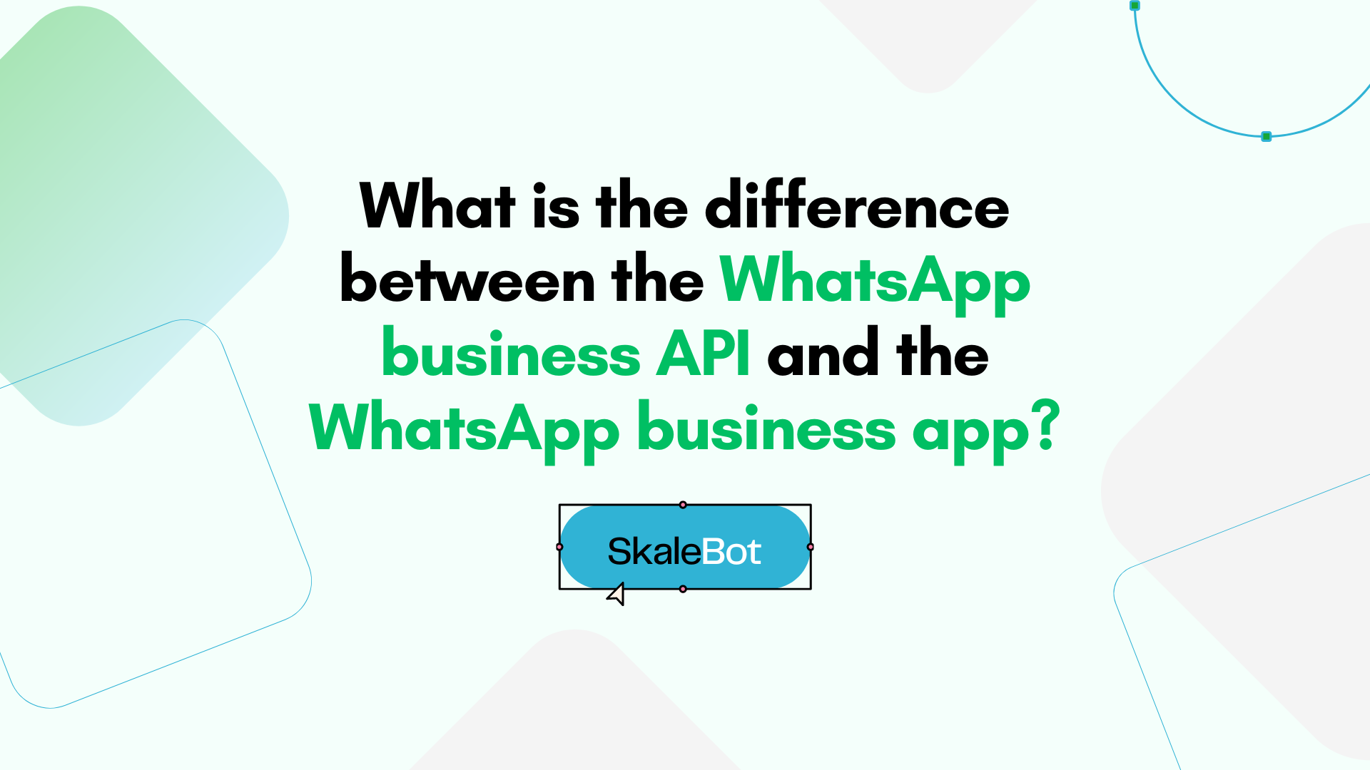 5 Key Differences Between WhatsApp Business API and App